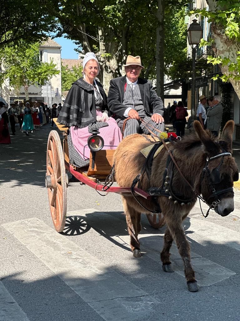 Couple en charrette tirée par un âne lors d'un défilé.