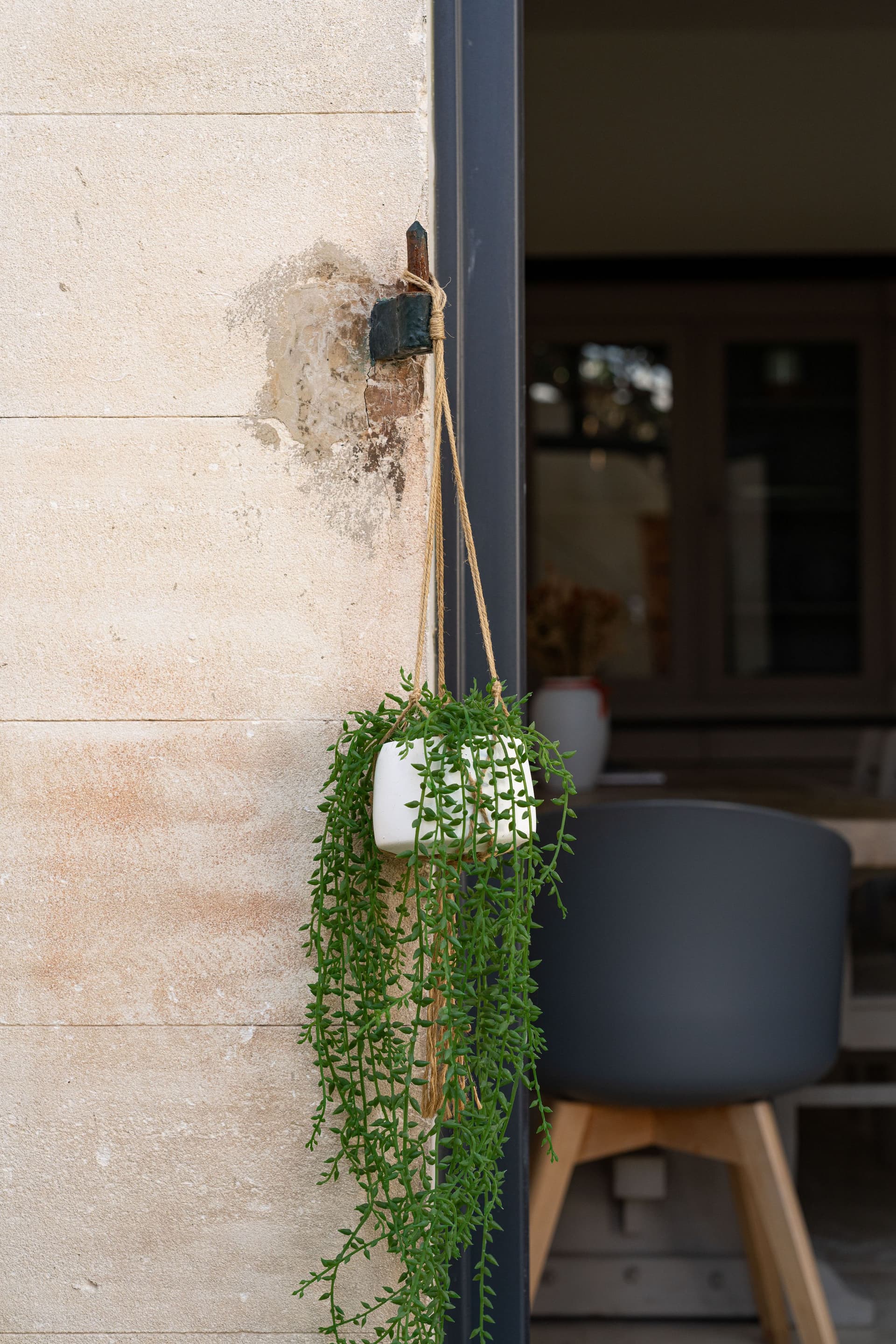 Plante verte suspendue à un mur en extérieur.