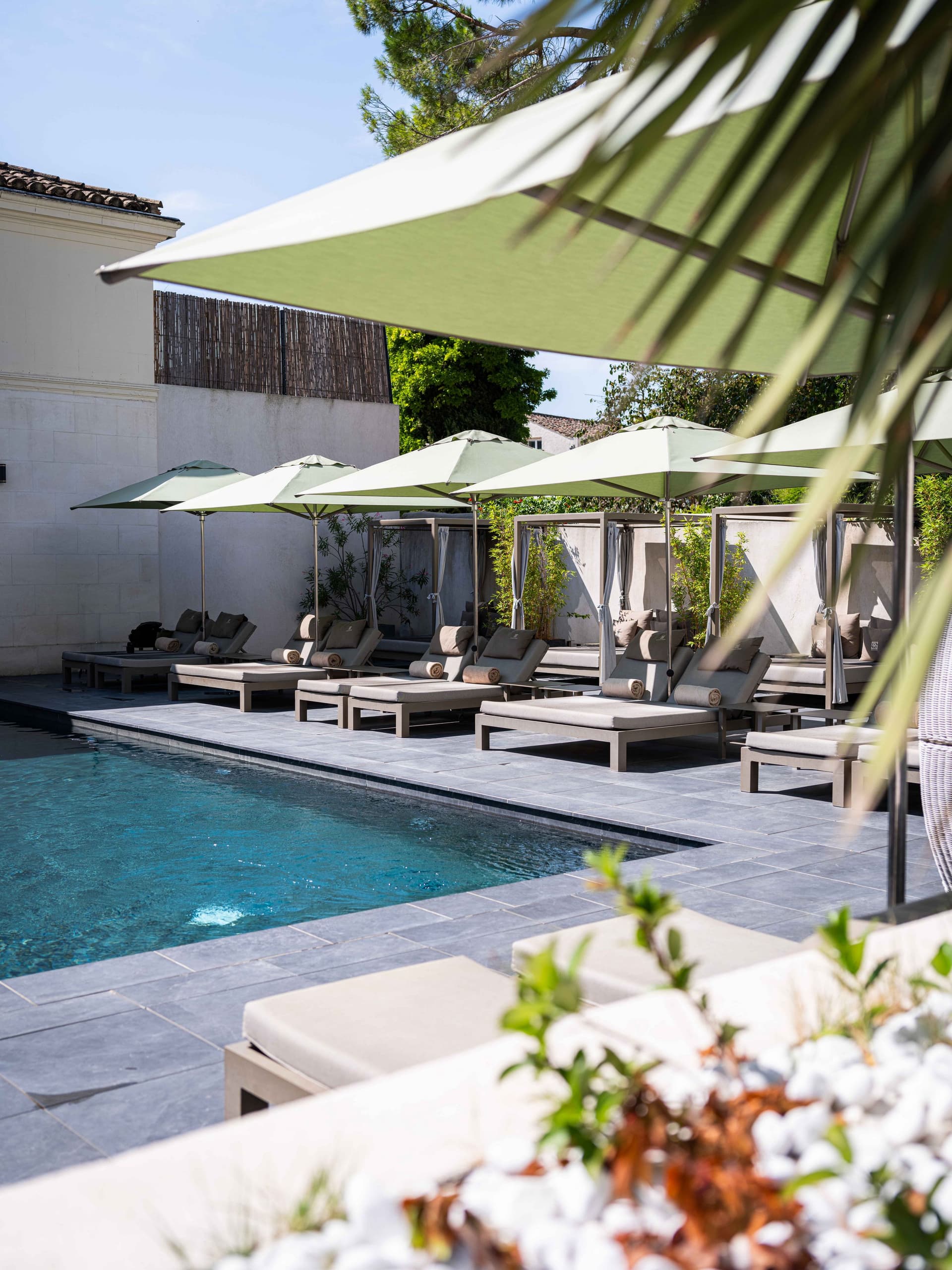 Piscine avec transats et parasols verts.